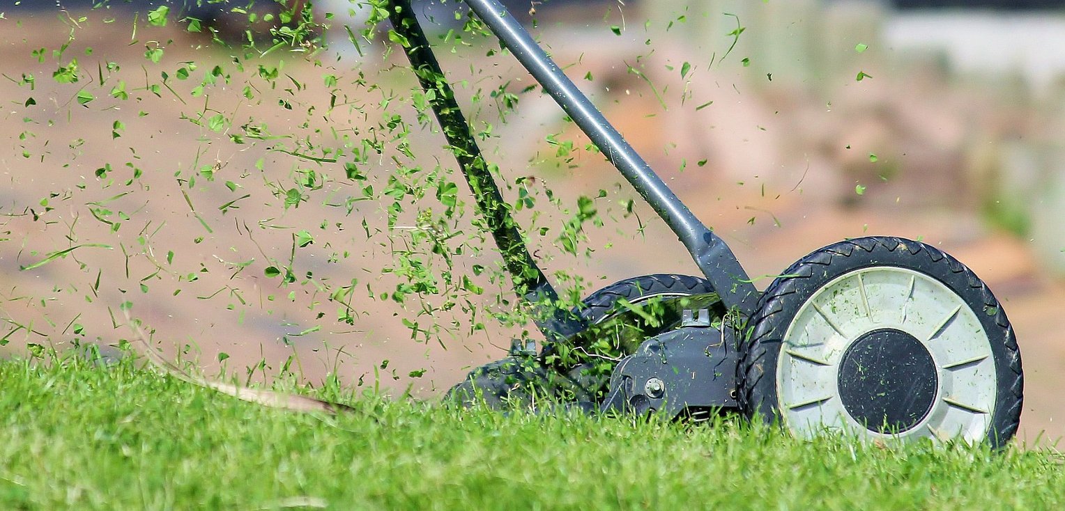 Foto tosaerba Green Mec macchine giardinaggio Pordenone